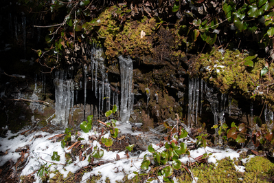 icicles along Alum Cave Trail