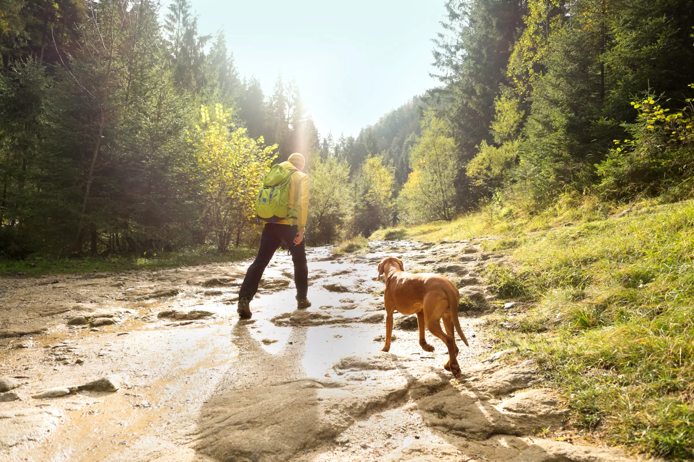 Dog and owner at Greenbrier Campground