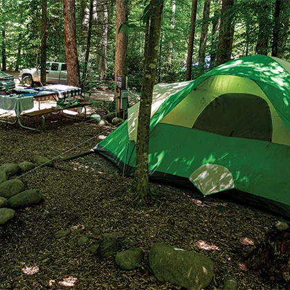 Tent site at Greenbrier Campground