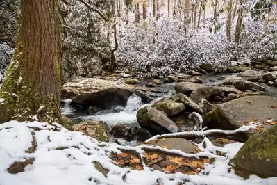 stream in the Smoky Mountains with snow