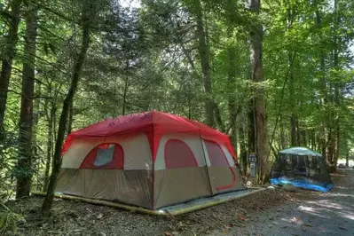 A large tent in the woods