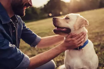 Man Playing with Dog