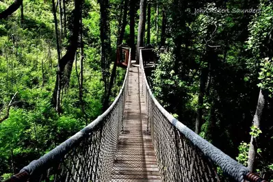 Bridge Anakeesta