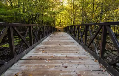 gatlinburg trail bridge