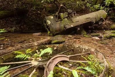 engine along grapeyard ridge trail