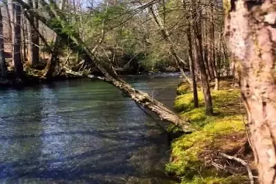 swimming hole