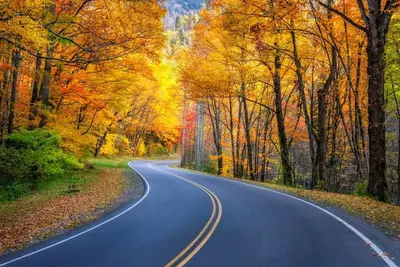 fall in the smoky mountains