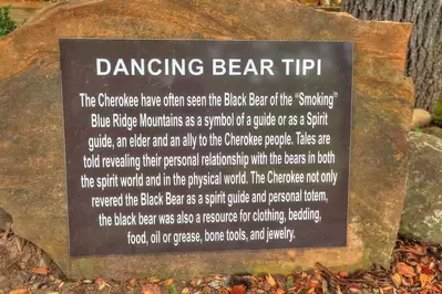 Black Bear Definition Sign – The Indian Tepee