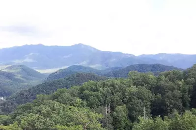 green smoky mountains