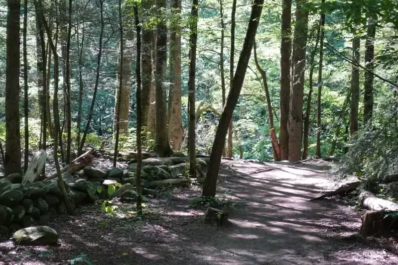 the gatlinburg trail