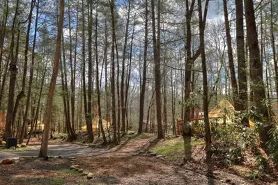 tents in the woods