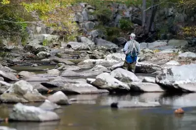 fishing in the smoky mountains