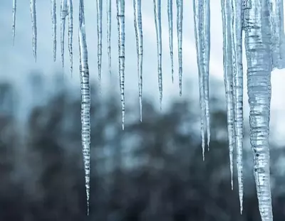 icicles in nature