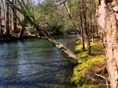 Swimming hole at Greenbrier Campground