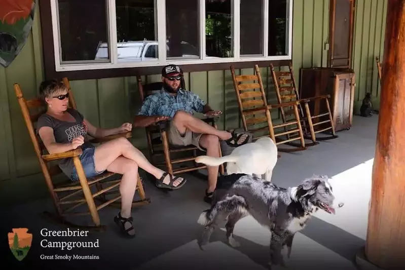 Guests and their dogs relaxing in rocking chairs at Greenbrier Campground in the Smokies.