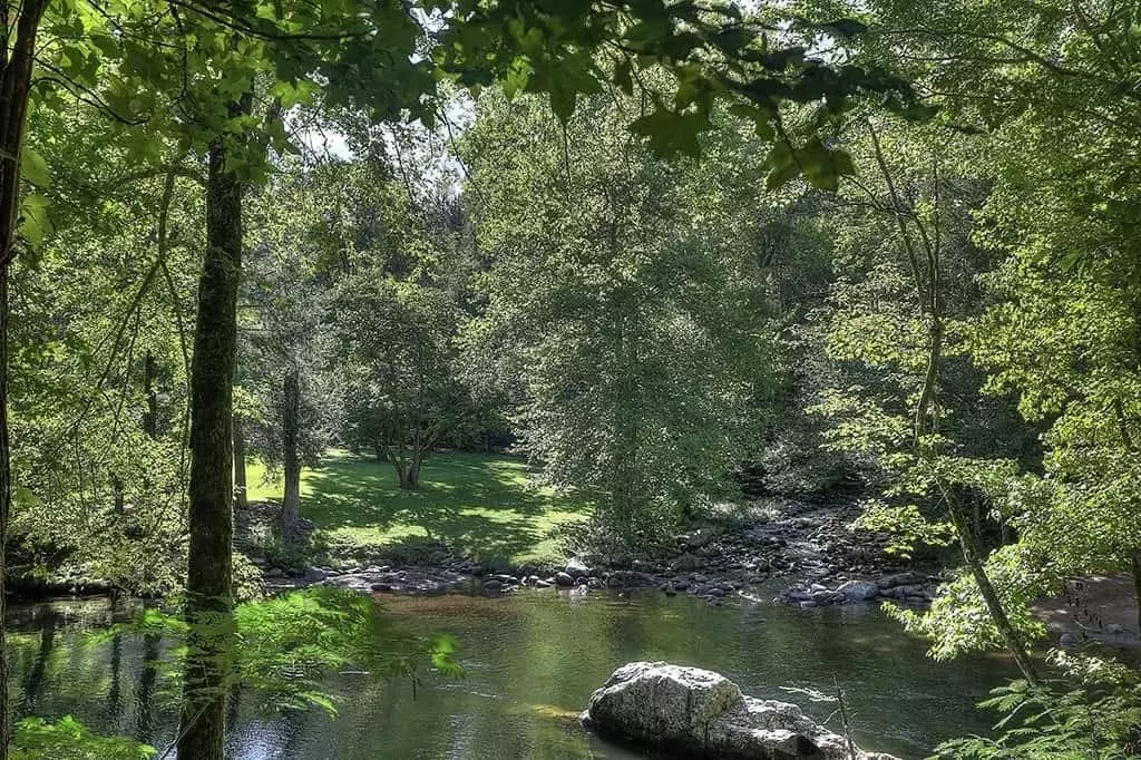 Beautiful photo of the Little Pigeon River at Greenbrier Campground in the Smoky Mountains.