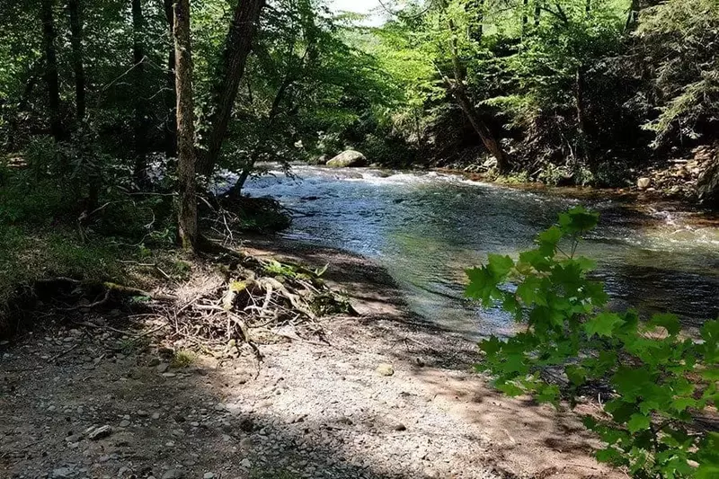The river at Greenbrier Campground in the Smoky Mountains.