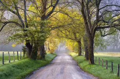 Road to Cades Cove in the Smoky Mountains