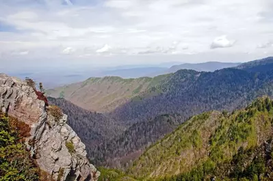 View from Charlie's Bunion in the Smoky Mountains