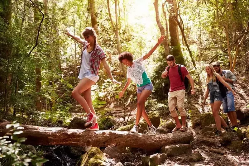 Group hiking along a trail in the Smoky Mountains