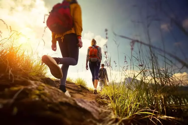 People hiking on a trail