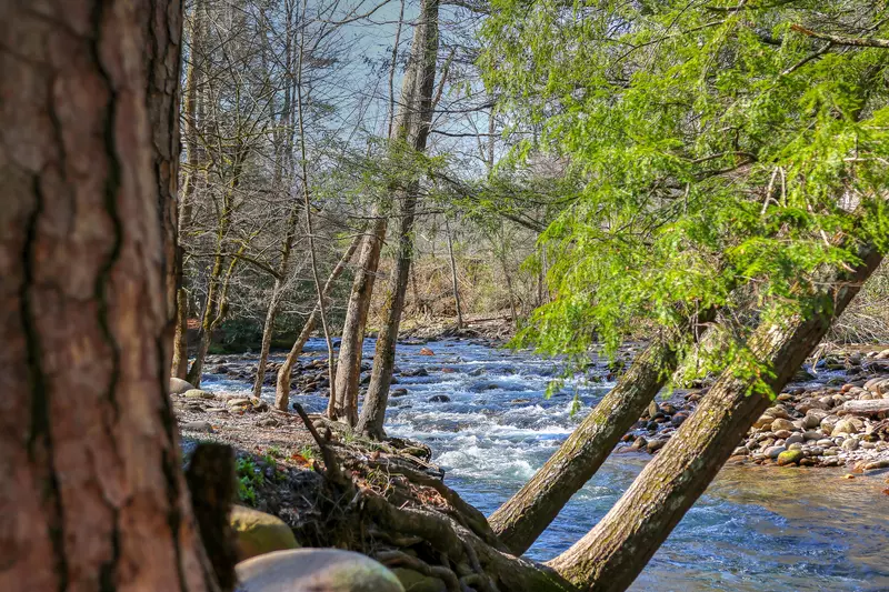 Little Pigeon River