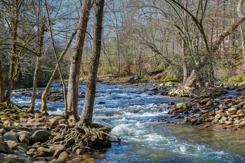 Little Pigeon River in Gatlinburg