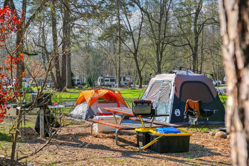 tent sites at Greenbrier Campground