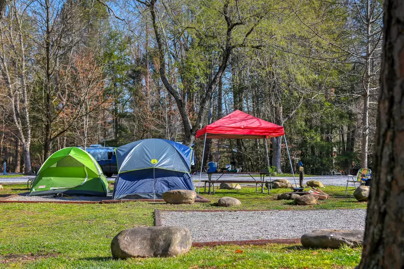 tent sites at Smoky Mountain campground