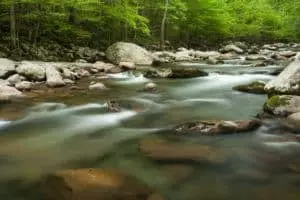 The Little Pigeon River in Greenbrier in the Smoky Mountains.