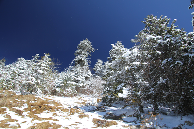 Alum Cave Trail in the Winter