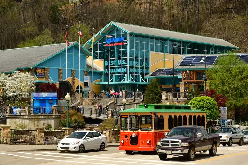 Ripley's Aquarium is one of the best rainy day activities in Gatlinburg TN