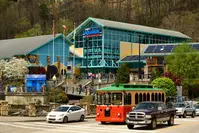 Ripley's Aquarium is one of the best rainy day activities in Gatlinburg TN