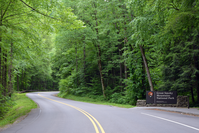 things to do in great smoky mountains national park