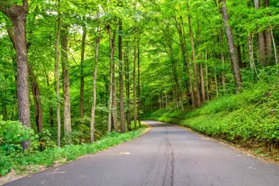 roaring fork motor nature trail is one of the top drives in the Smoky Mountains