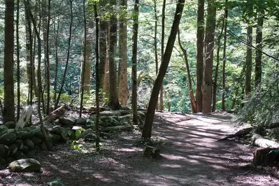 gatlinburg trail is one of the top easy hiking trails in the Smoky Mountains