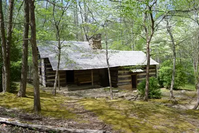 cabin along porters creek trail