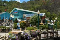 ripley's aquarium is one of the top Gatlinburg attractions for kids
