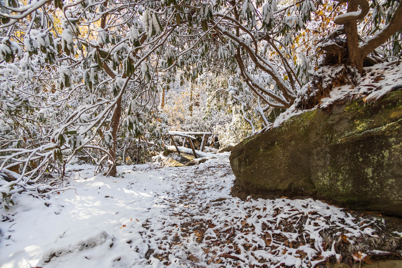 porters creek trail is one of the best winter hikes in the smokies