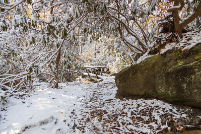 porters creek trail is one of the best winter hikes in the smokies