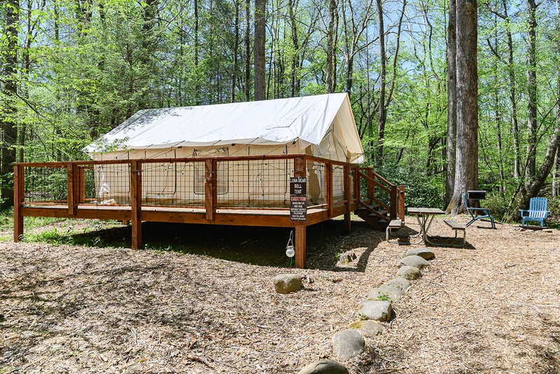 Luna Bear wall tent-1