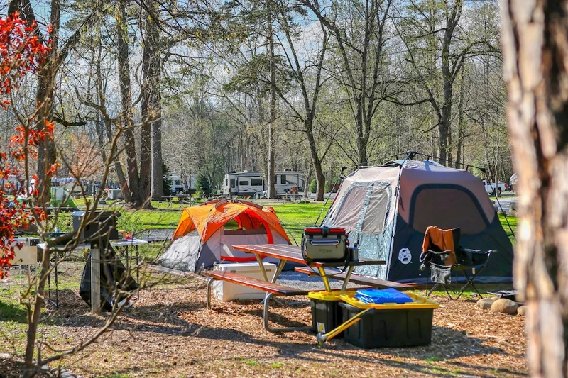 tent camping in the smokies at Greenbrier Campground
