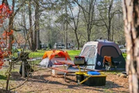 tent camping in the smokies at Greenbrier Campground