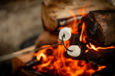 roasting marshmallows while camping in the Smokies