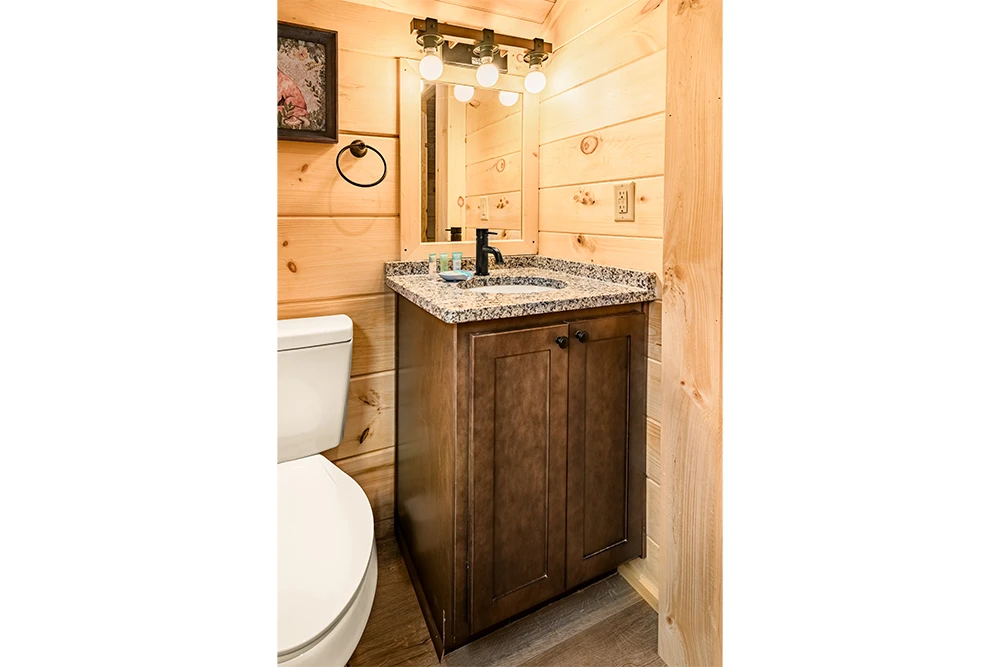 Cabin 29-9