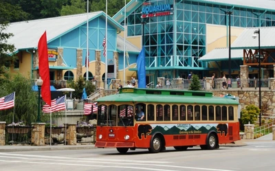 Gatlinburg Trolley in front of Ripley's
