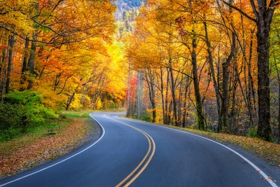scenic drive during fall in the smoky mountains