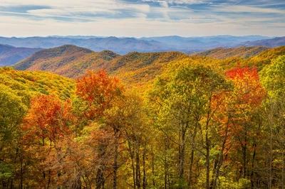 fall in the smoky mountains