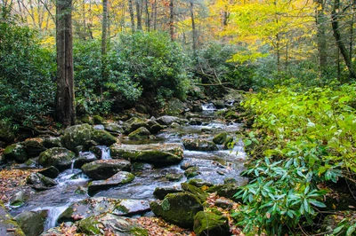 ramsey cascades trail